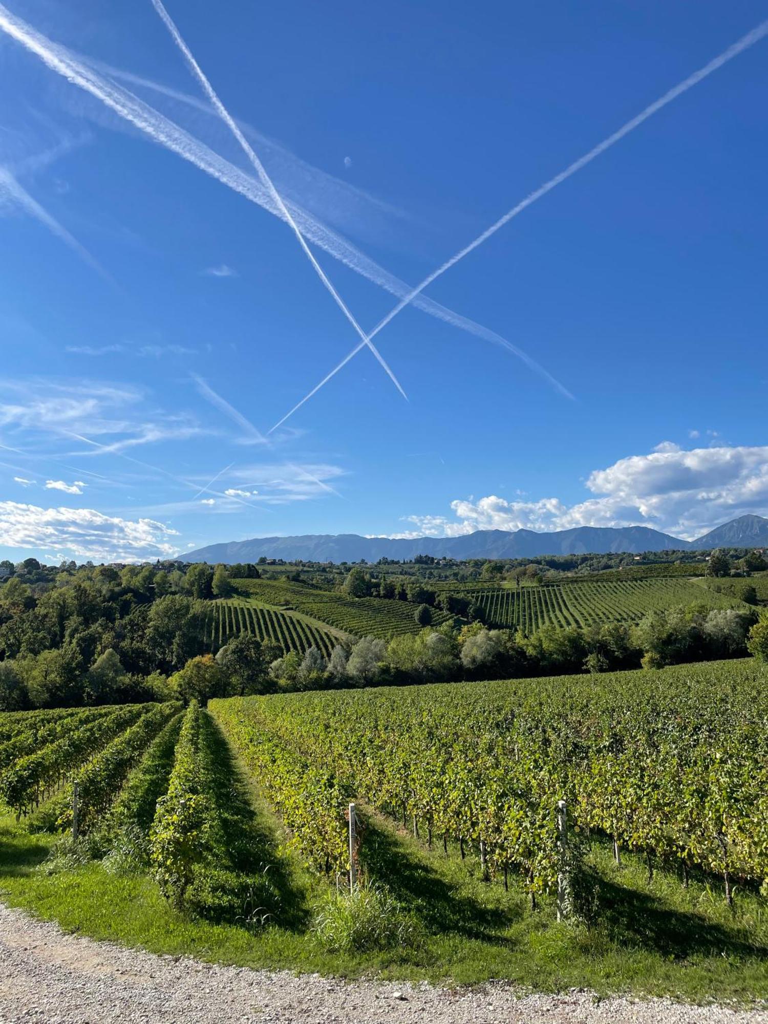 Tenuta Malvolti - Al Vecchio Convento San Fior di Sopra Exteriör bild